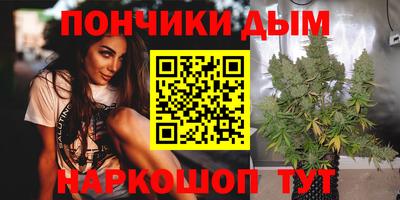 крисы Новодвинск