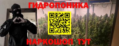 гашик Нарткала